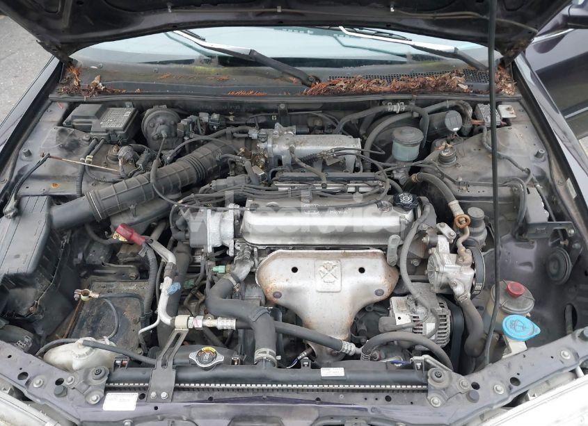 Photo 10 of 1997 Honda Accord SE (VIN 1HGCD5607VA219742)