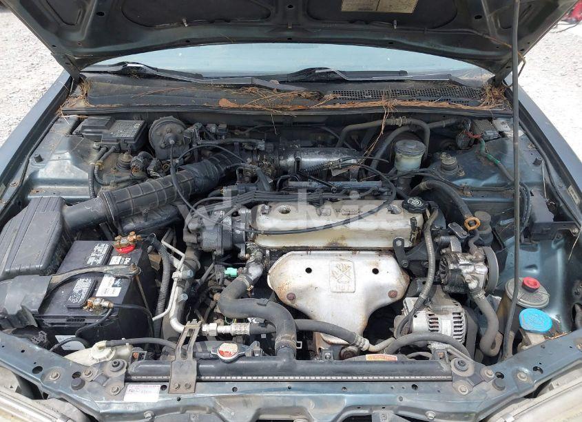 Photo 10 of 1997 Honda Accord LX (VIN 1HGCD5631VA019675)