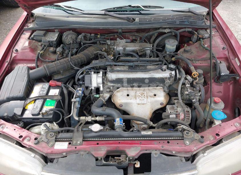 Photo 10 of 1997 Honda Accord LX (VIN 1HGCD5632VA217617)