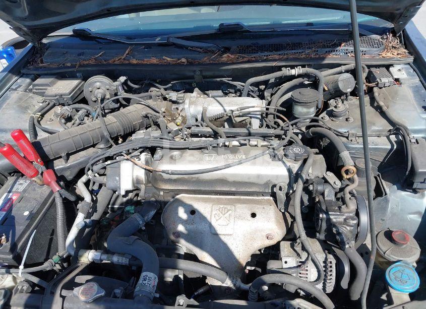 Photo 10 of 1997 Honda Accord LX (VIN 1HGCD5637VA212185)