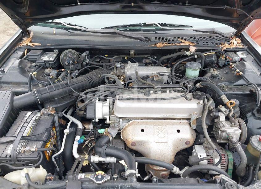 Photo 10 of 1996 Honda Accord LX/EX (VIN 1HGCD5639TA040206)