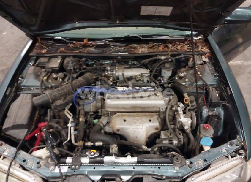 Photo 10 of 1996 Honda Accord LX/EX (VIN 1HGCD5639TA189876)