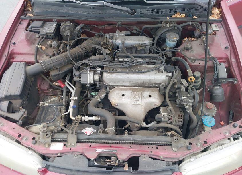 Photo 10 of 1995 Honda Accord LX/EX (VIN 1HGCD563XSA107989)