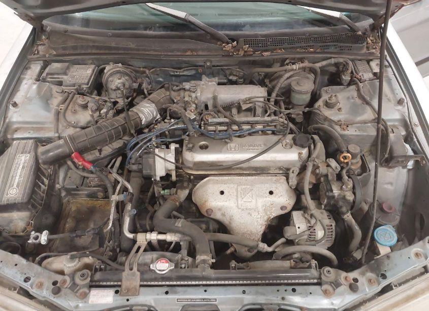 Photo 10 of 1995 Honda Accord LX/EX (VIN 1HGCD563XSA163253)