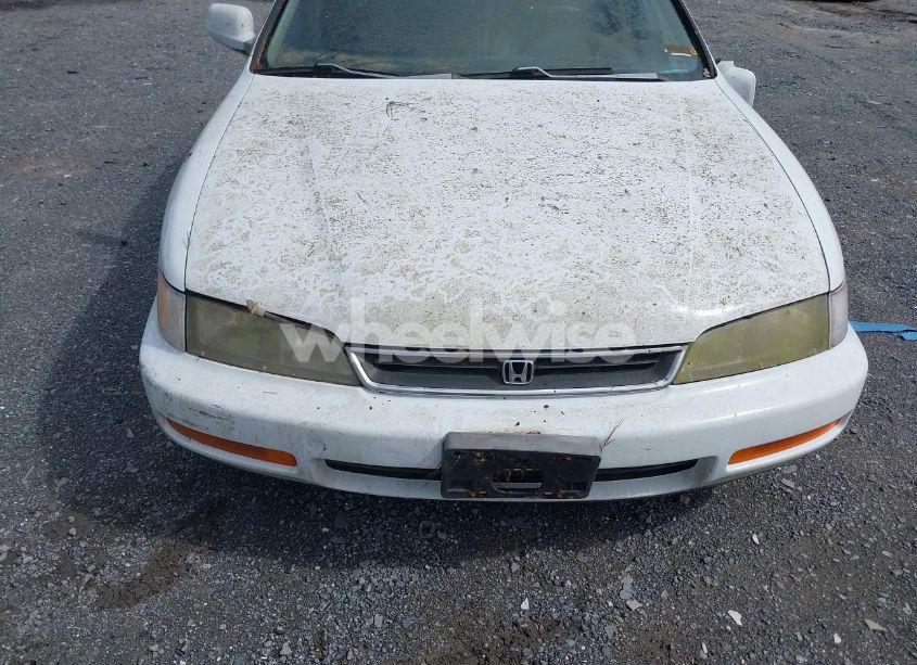 Photo 6 of 1996 Honda Accord EX/EX-R (VIN 1HGCD565XTA188303)