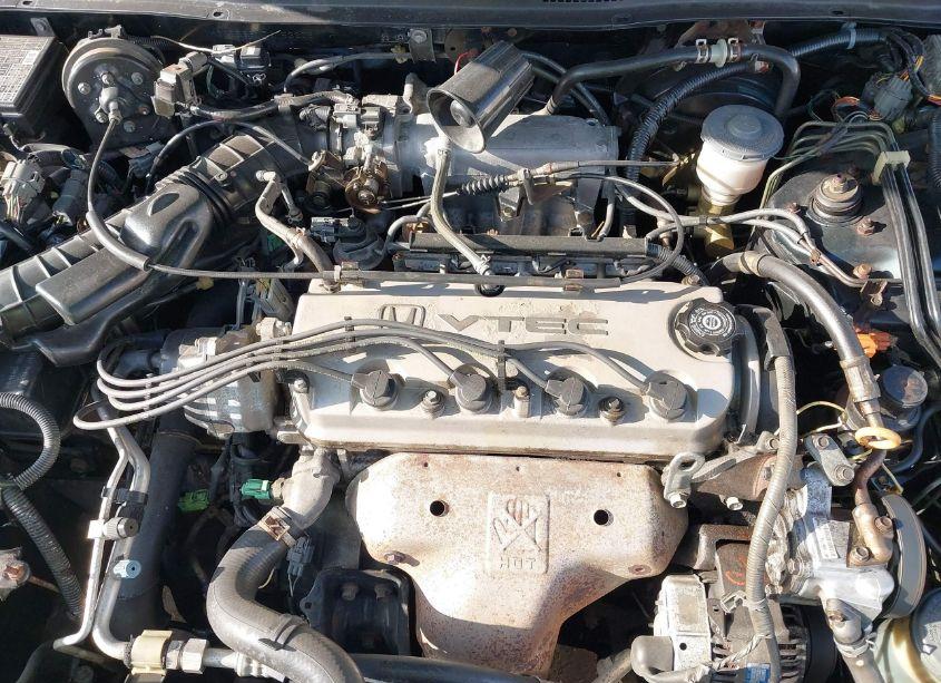 Photo 10 of 1996 Honda Accord EX (VIN 1HGCD5661TA153206)