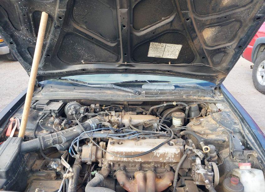 Photo 10 of 1996 Honda Accord LX (VIN 1HGCD7233TA024214)