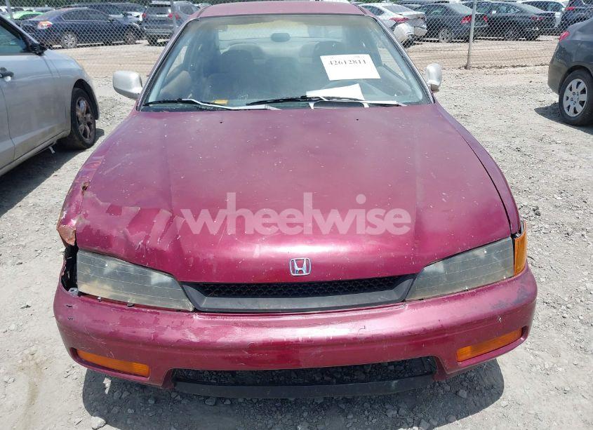 Photo 6 of 1995 Honda Accord LX (VIN 1HGCD7239SA005116)