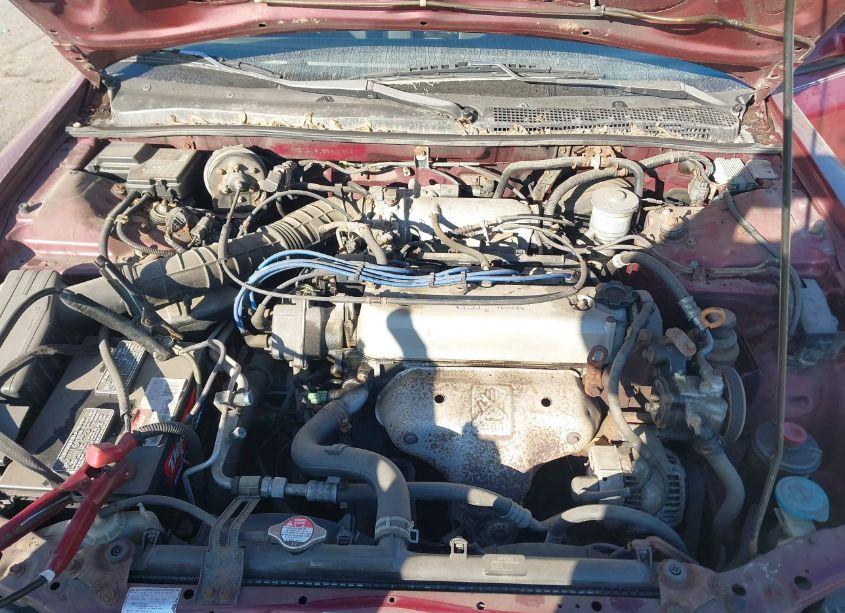 Photo 10 of 1995 Honda Accord LX (VIN 1HGCE1829SA005447)