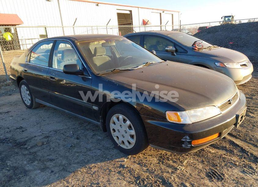 1996 Honda Accord LX/EX (VIN 1HGCE6645TA008168) main photo
