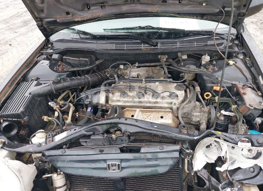 Photo 10 of 1999 Honda Accord EX (VIN 1HGCG3153XA022925)