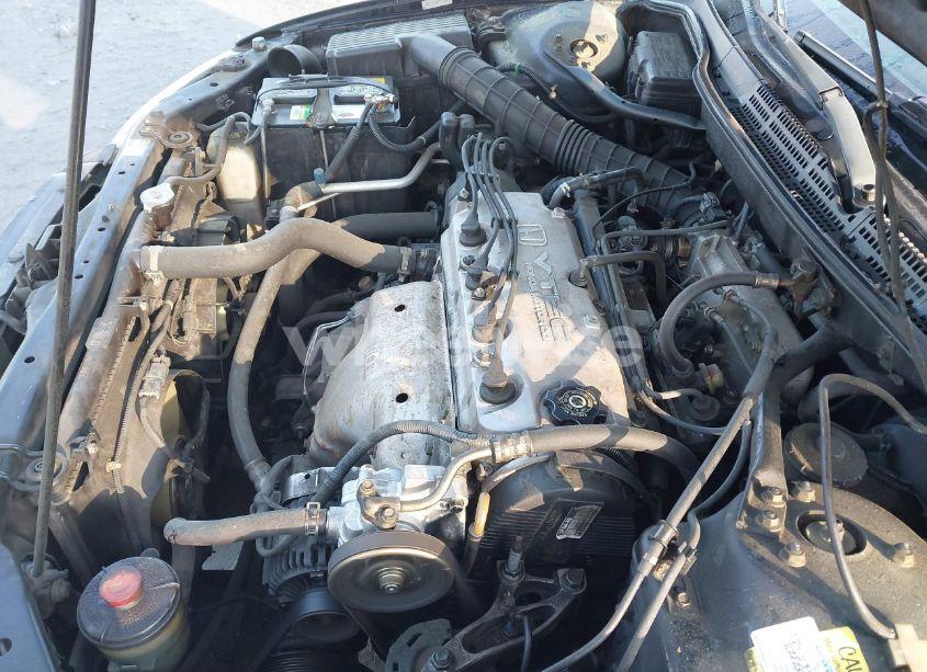 Photo 10 of 2002 Honda Accord 2.3 SE (VIN 1HGCG32002A001672)