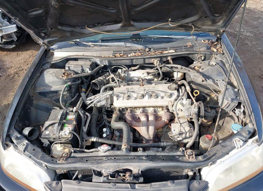 Photo 10 of 1999 Honda Accord LX (VIN 1HGCG3242XA006446)