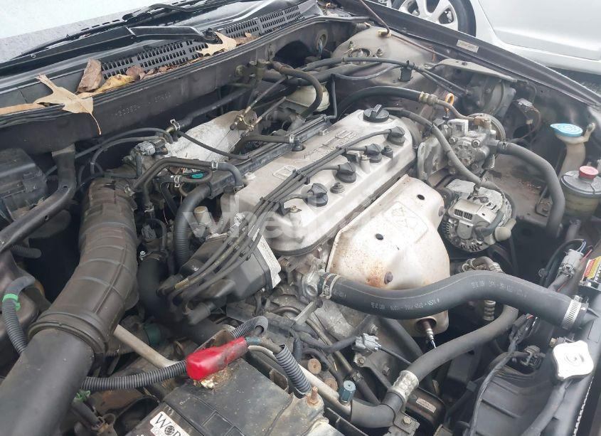 Photo 10 of 1998 Honda Accord LX (VIN 1HGCG5641WA167830)