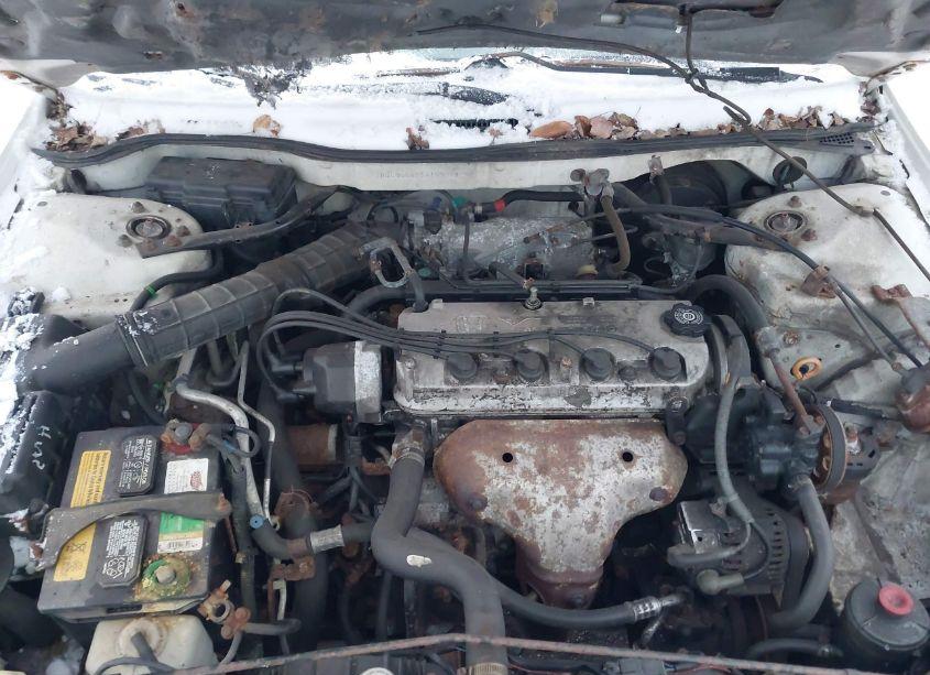 Photo 10 of 1998 Honda Accord LX (VIN 1HGCG5642WA190078)