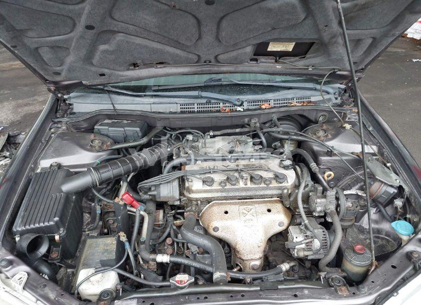 Photo 10 of 1998 Honda Accord LX (VIN 1HGCG5645WA244697)