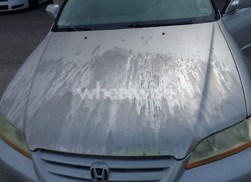 Photo 6 of 2002 Honda Accord 2.3 LX (VIN 1HGCG56482A064141)