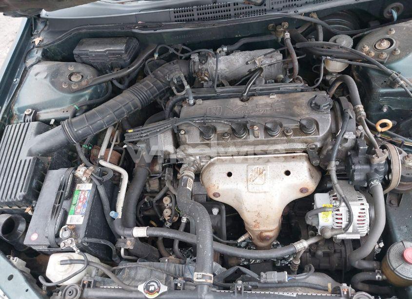 Photo 10 of 1998 Honda Accord LX (VIN 1HGCG564XWA249748)