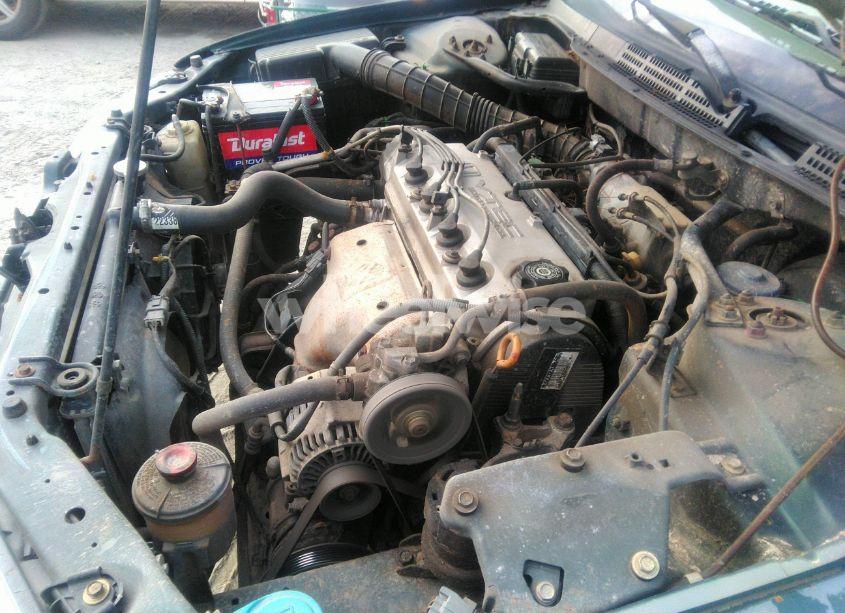 Photo 10 of 1999 Honda Accord LX (VIN 1HGCG564XXA055366)