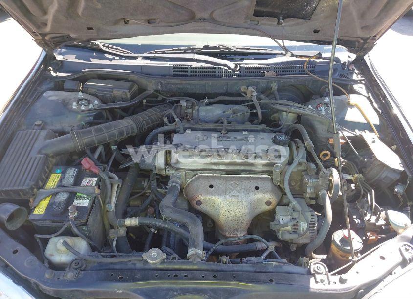 Photo 10 of 1998 Honda Accord EX (VIN 1HGCG5653WA270112)