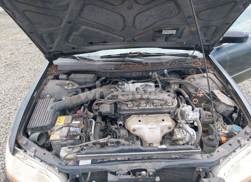 Photo 10 of 1998 Honda Accord EX (VIN 1HGCG5654WA109056)