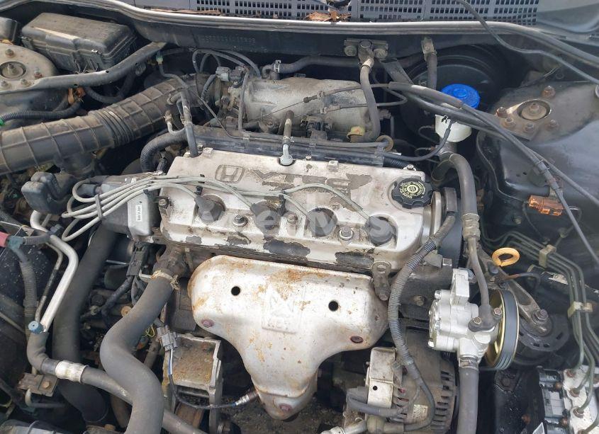 Photo 10 of 2002 Honda Accord 2.3 EX (VIN 1HGCG56622A025868)