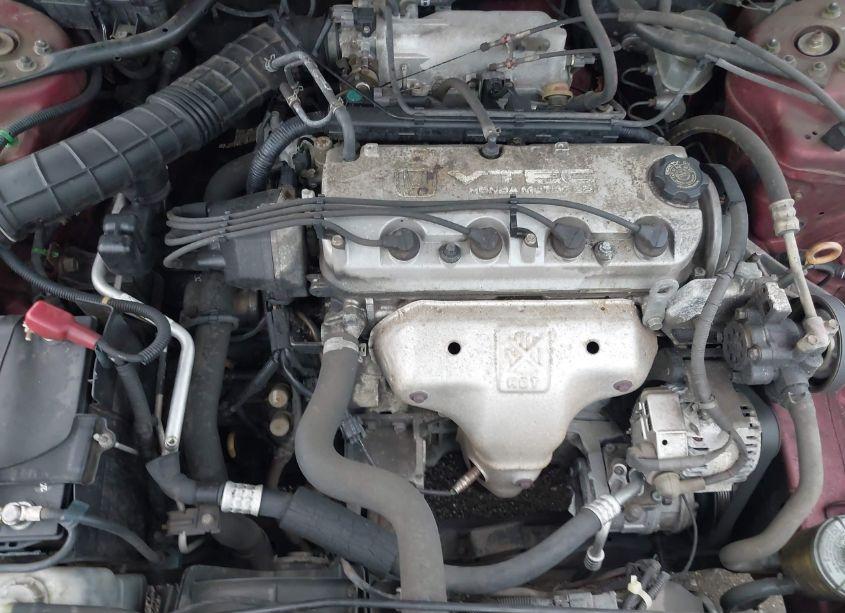 Photo 10 of 2002 Honda Accord 2.3 SE (VIN 1HGCG56742A054989)