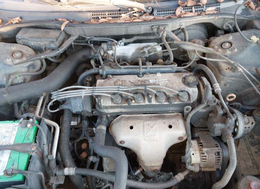 Photo 10 of 2002 Honda Accord 2.3 SE (VIN 1HGCG56762A126873)