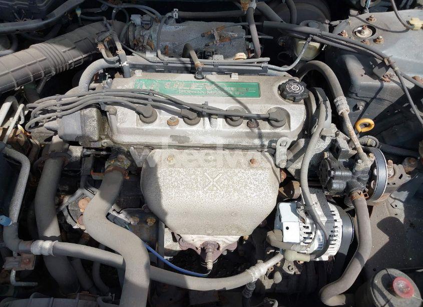 Photo 10 of 1999 Honda Accord LX (VIN 1HGCG6654XA145126)