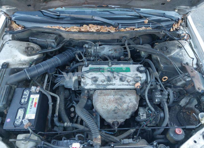 Photo 10 of 1999 Honda Accord LX (VIN 1HGCG665XXA132395)