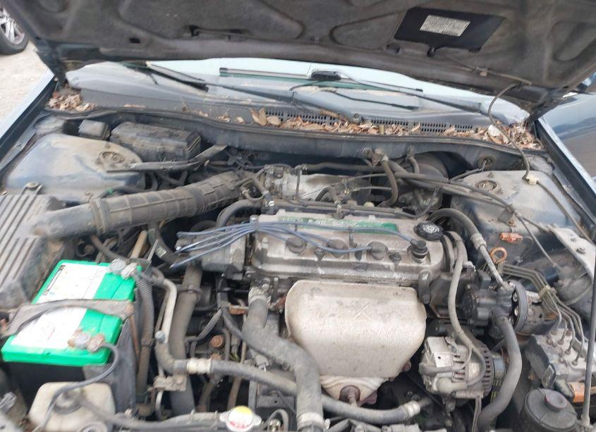 Photo 10 of 1999 Honda Accord EX (VIN 1HGCG6679XA026652)