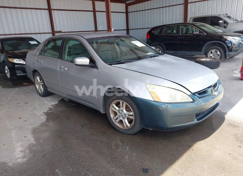 2006 Honda Accord 2.4 SE (VIN 1HGCM55386A161041) main photo