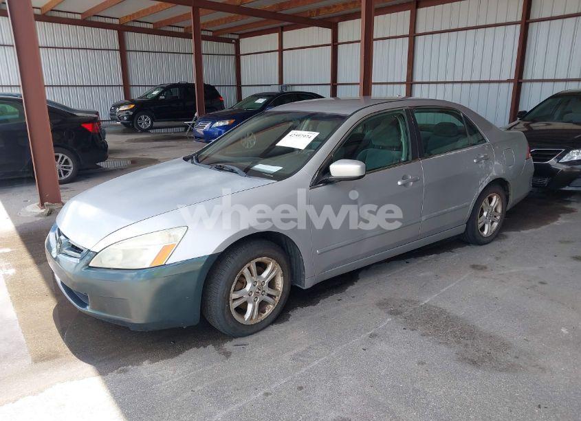 Photo 2 of 2006 Honda Accord 2.4 SE (VIN 1HGCM55386A161041)