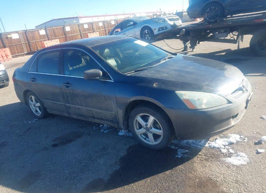 2005 Honda Accord 2.4 EX (VIN 1HGCM55885A109600) main photo