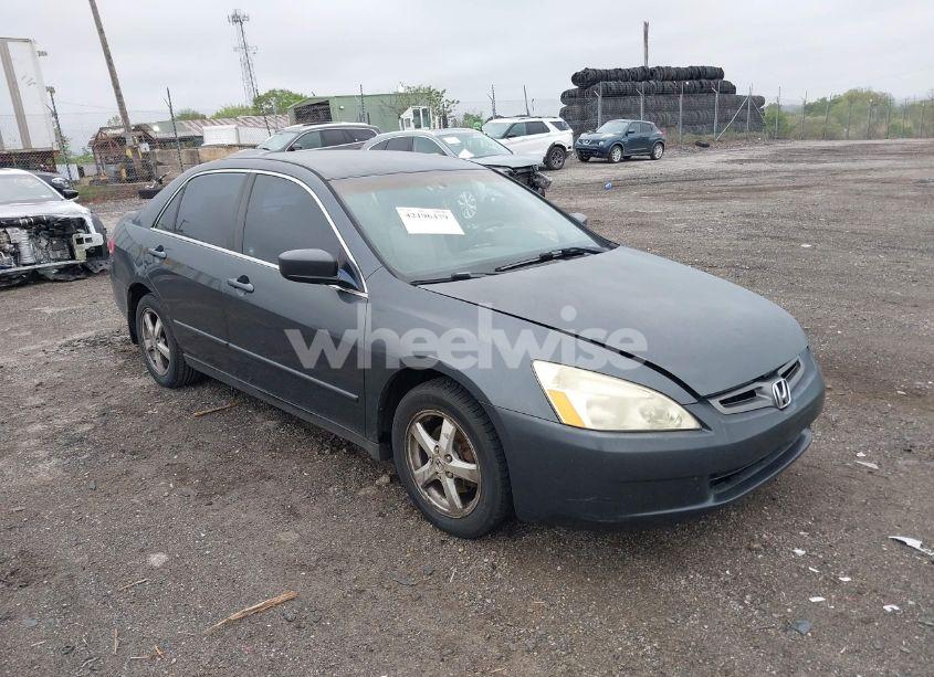 2003 Honda Accord 2.4 LX (VIN 1HGCM56303A134426) main photo