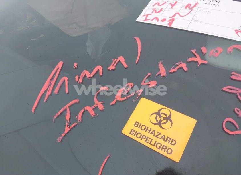 Photo 12 of 2006 Honda Accord 2.4 SE (VIN 1HGCM56346A178708)