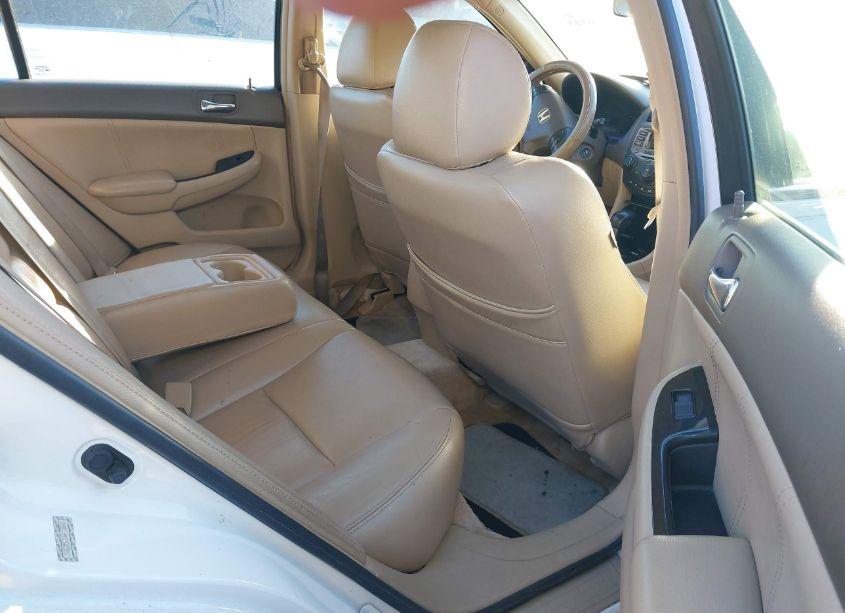 Photo 8 of 2006 Honda Accord 2.4 SE (VIN 1HGCM56356A118663)