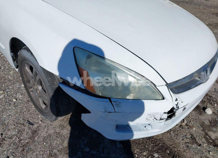 Photo 6 of 2006 Honda Accord 2.4 SE (VIN 1HGCM56366A026879)