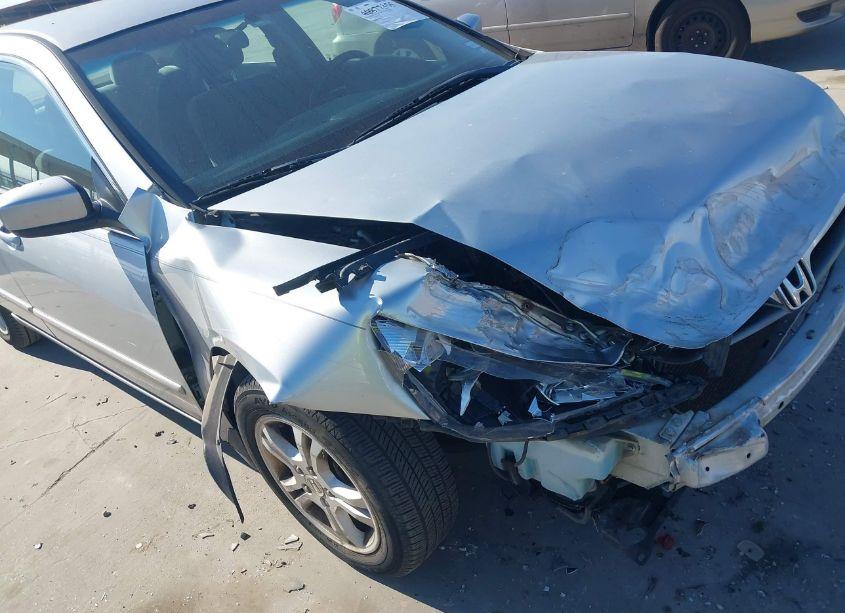 Photo 6 of 2006 Honda Accord 2.4 SE (VIN 1HGCM56366A148741)