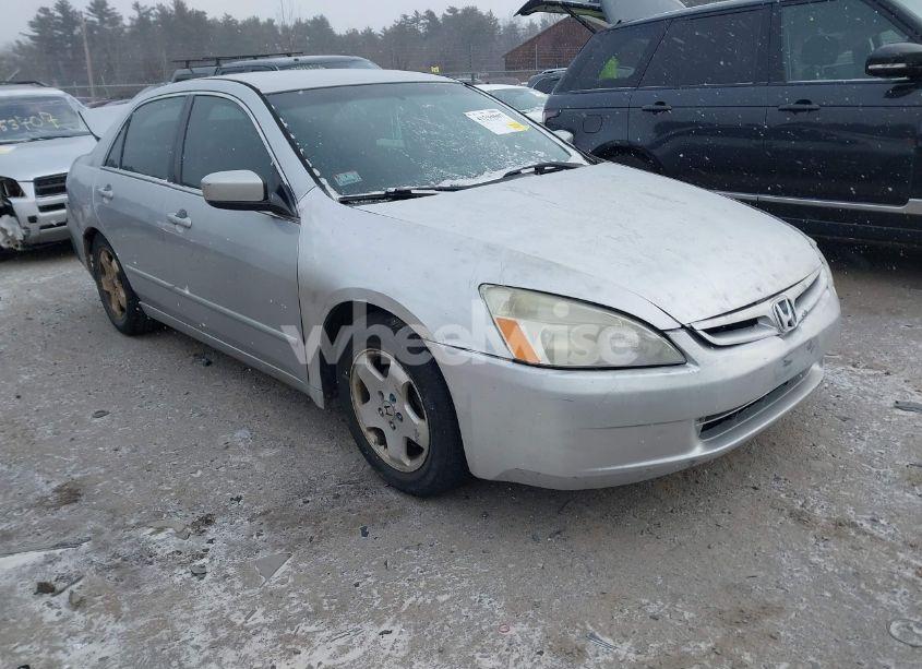 2007 Honda Accord 2.4 SE (VIN 1HGCM56367A113134) main photo