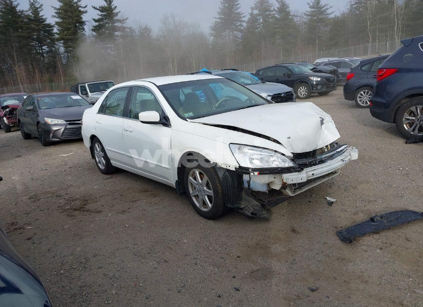 2006 Honda Accord 2.4 SE (VIN 1HGCM56396A056202) main photo