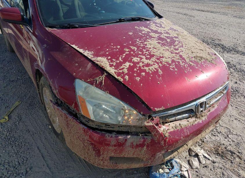 Photo 6 of 2007 Honda Accord 2.4 SE (VIN 1HGCM56397A023525)