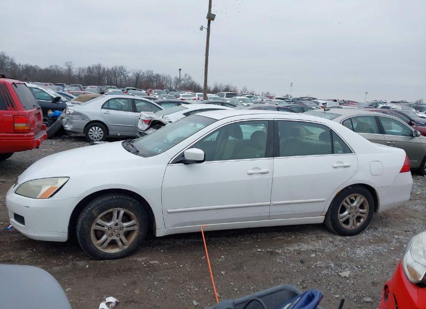Photo 14 of 2006 Honda Accord 2.4 SE (VIN 1HGCM563X6A026951)