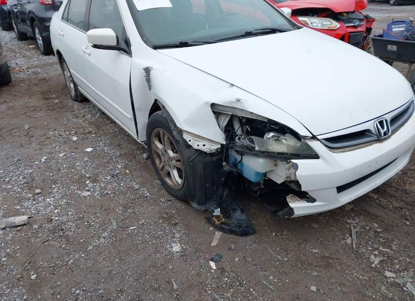 Photo 6 of 2006 Honda Accord 2.4 SE (VIN 1HGCM563X6A026951)