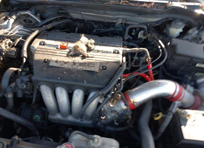 Photo 10 of 2005 Honda Accord 2.4 LX (VIN 1HGCM56475A112600)