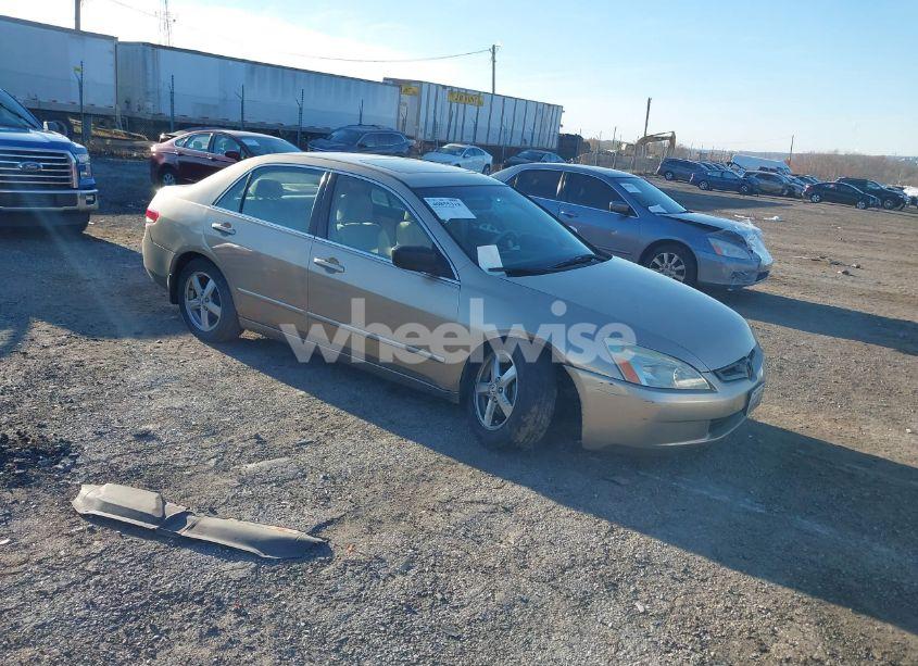 2004 Honda Accord 2.4 EX (VIN 1HGCM56614A080033) main photo