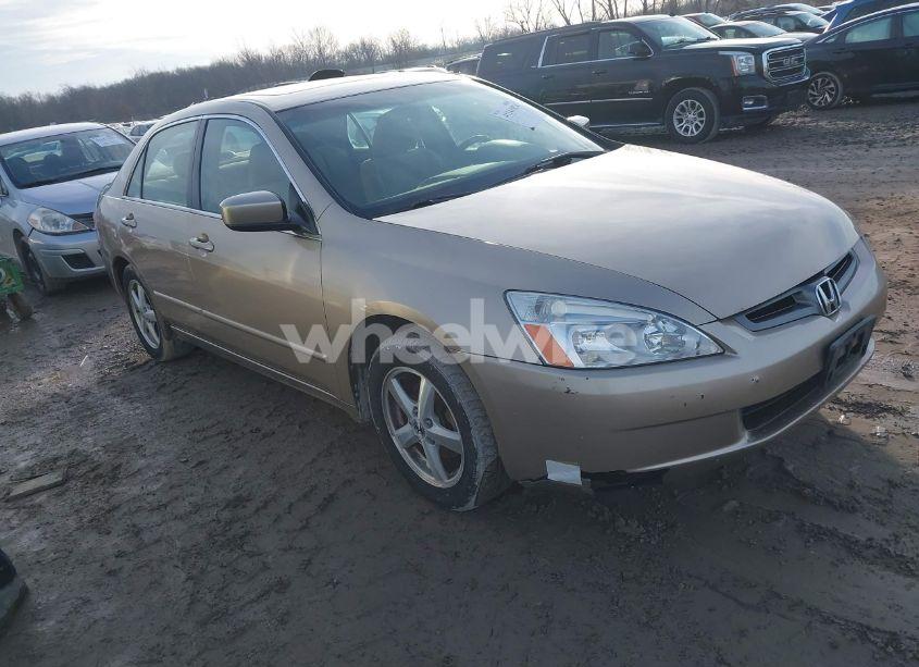 2003 Honda Accord 2.4 EX (VIN 1HGCM566X3A136162) main photo