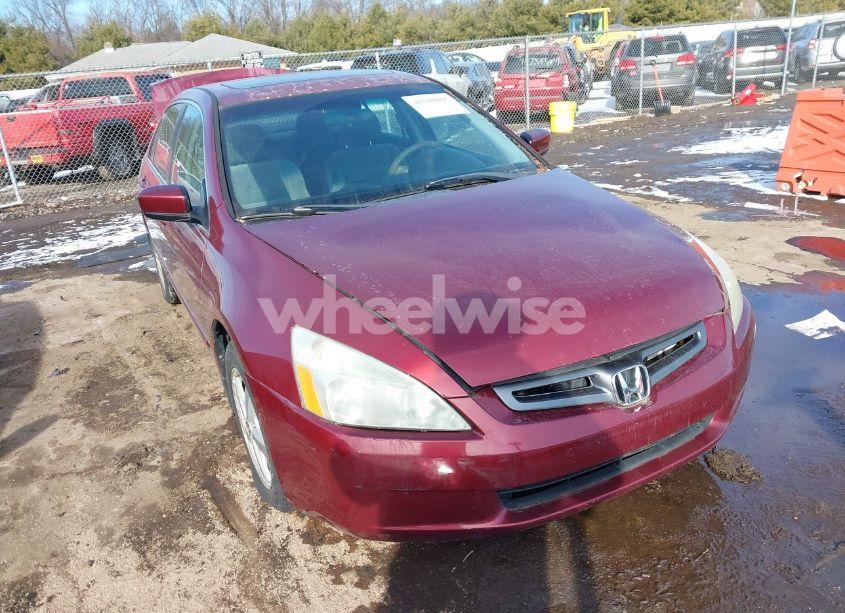 2004 Honda Accord 2.4 EX (VIN 1HGCM566X4A145929) main photo
