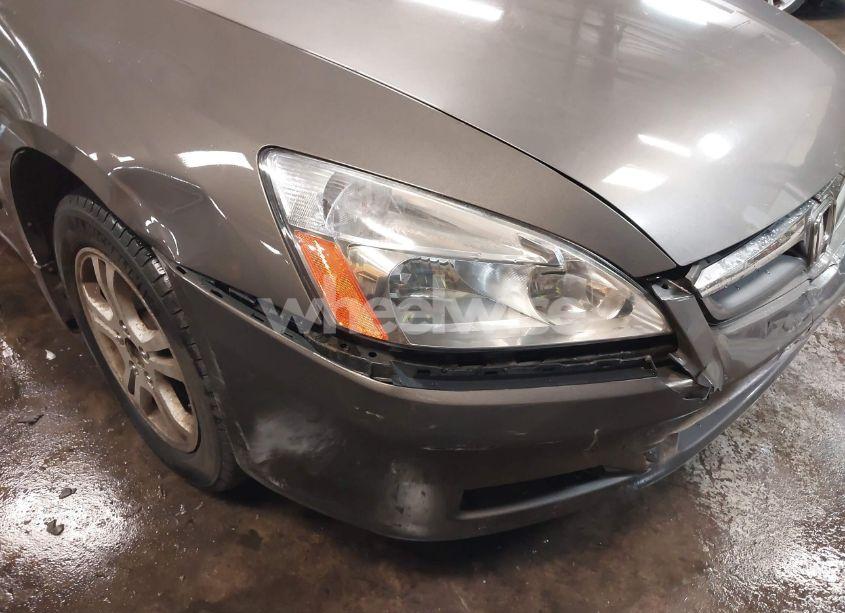 Photo 20 of 2006 Honda Accord 2.4 EX (VIN 1HGCM56736A156461)