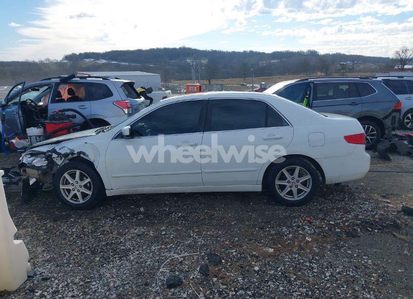 Photo 14 of 2005 Honda Accord 2.4 EX (VIN 1HGCM56765A181403)